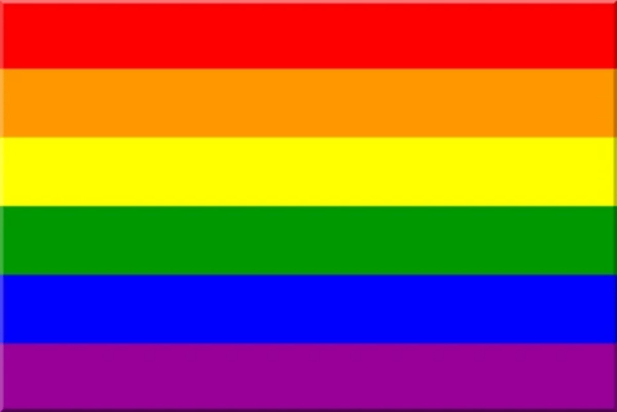 LGBTQ Rainbow Pride Flag 3'x5' with Grommets – Foam Brain Games