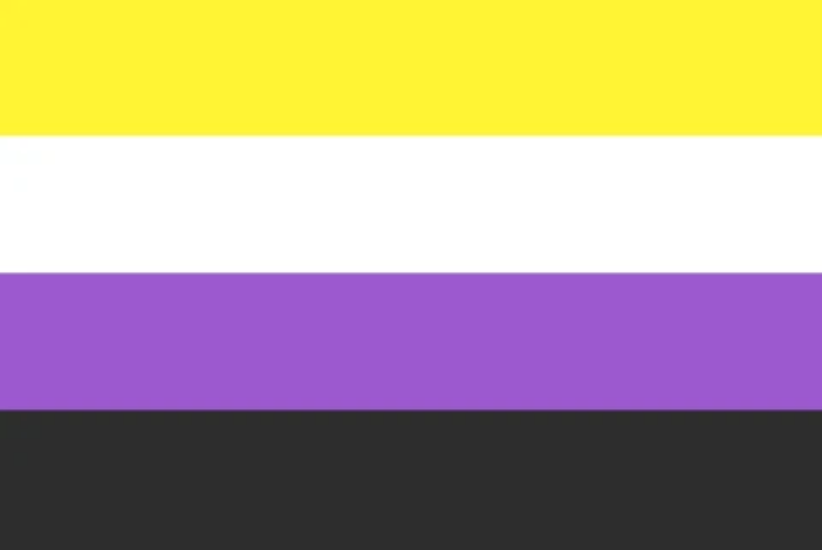 LGBTQ Non Binary Pride Flag 3'x5' with Grommets – Foam Brain Games